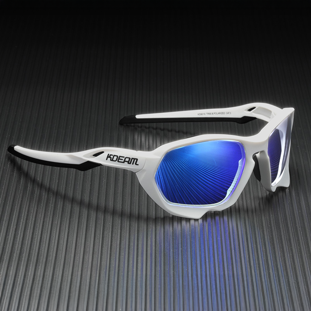 Raptor Stealth Sunglasses