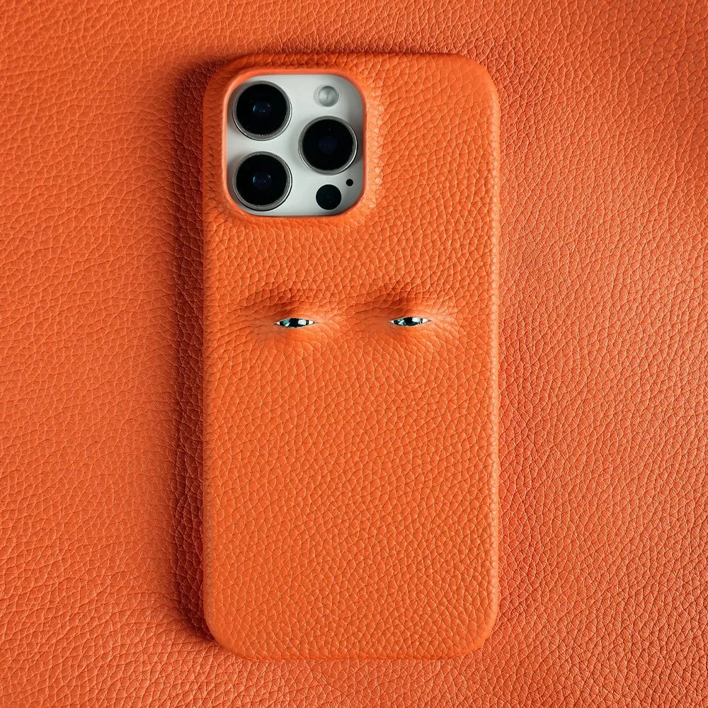 Sneaky Peepers Case
